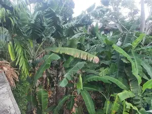 Land For Sale In Maharagama Arewwala