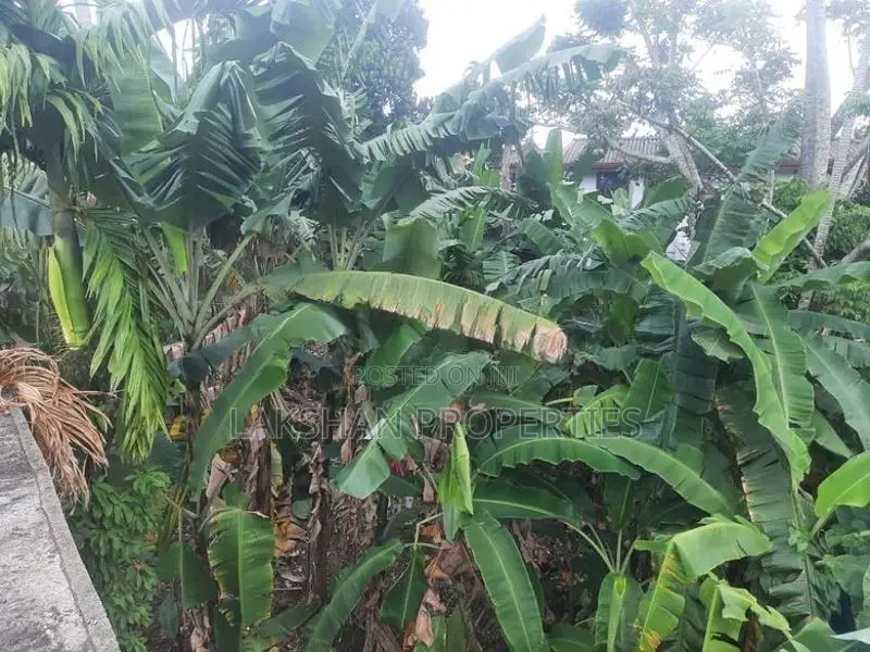 Land For Sale In Maharagama Arewwala