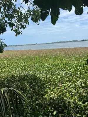 LAND FOR SALE IN MORATUWA-LS-565