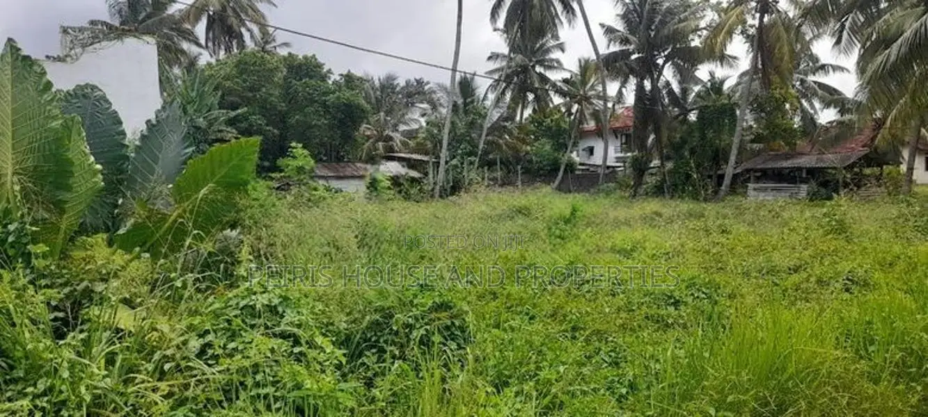 Land for Sale Kurana Negombo Gampaha