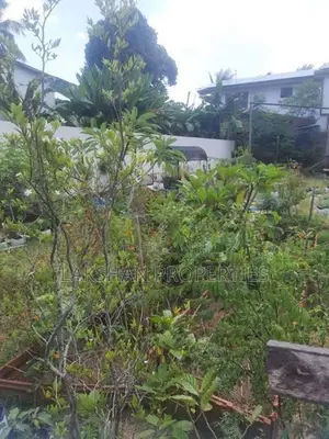 Land For Sale In Boralesgamuwa