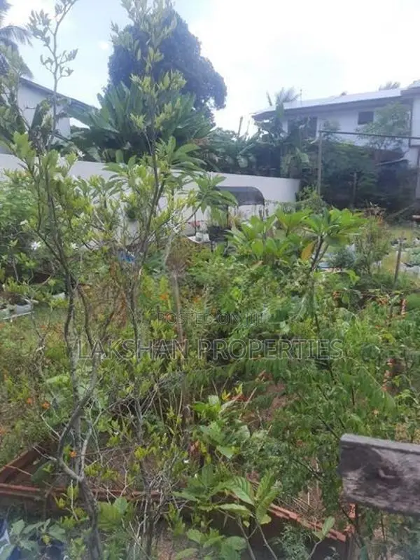 Land For Sale In Boralesgamuwa