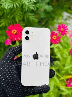Apple iPhone 12 128GB 5G LL/A (Used)