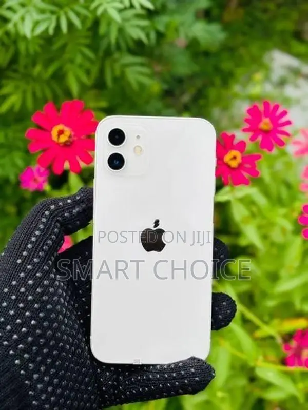 Apple iPhone 12 128GB 5G LL/A (Used)