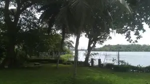 Panadura : 230 Perch Bolgoda River front Hotel Land for Sale