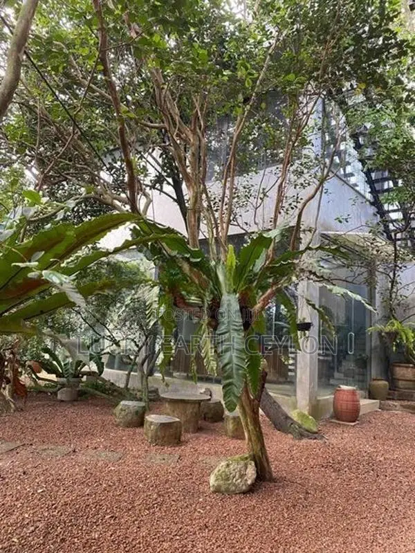 Erewwala Sale Luxury Villa, Separate Recreation Suit n Ample Land (S14
