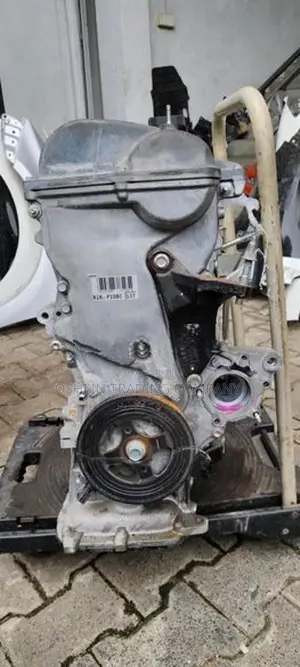 AXIO 141 / 260 ENGINE MOTTE 1NZ