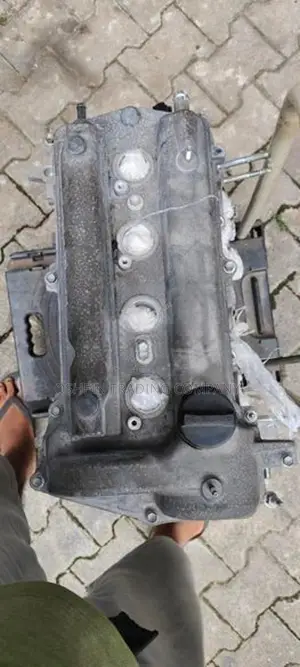 AXIO 141 / 260 ENGINE MOTTE 1NZ