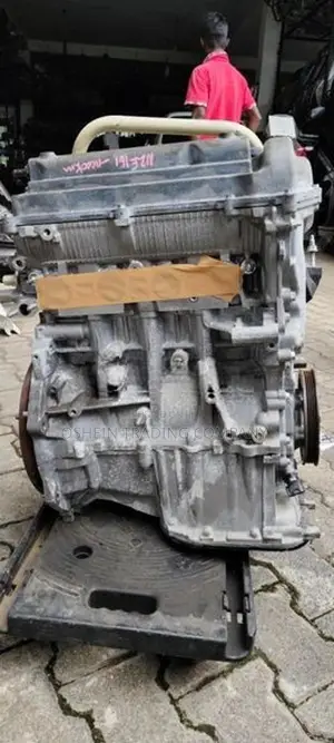 AXIO 141 / 260 ENGINE MOTTE 1NZ