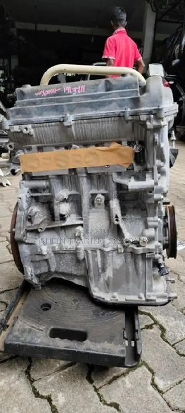 AXIO 141 / 260 ENGINE MOTTE 1NZ