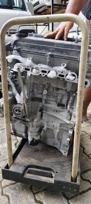 AXIO 141 / 260 ENGINE MOTTE 1NZ