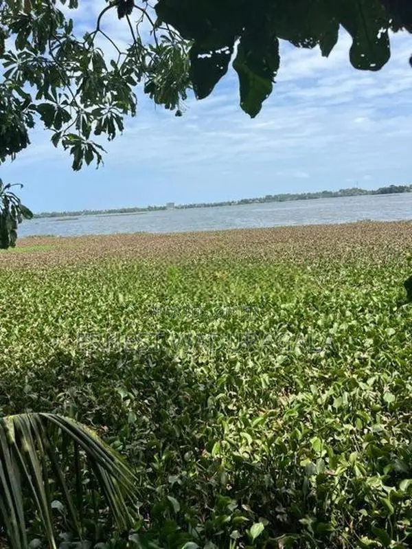 LAND FOR SALE IN PILIYANDALA-LS-360