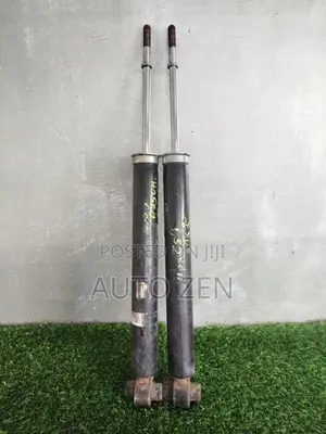 Lexus HS250 Hybrid Rear Shocks
