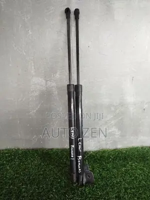 LEXUS HS250 HYBRID BONNET SHOCKS