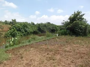 Land for sale Peliyagoda