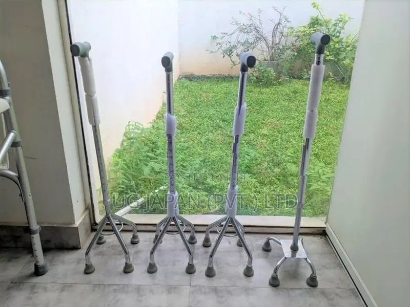 Walking Stick Quad Cane