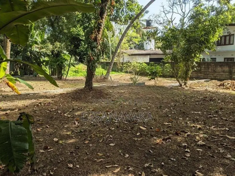 Super Land for Sale Mirihana Ds11637