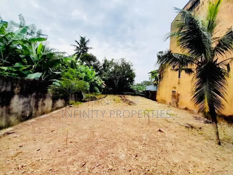 (NNI355) 11.6 P Commercial Land Sale