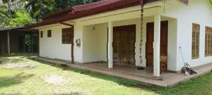 Padukka : 95.1 Perch Coconut Land with 4 Bedrooms House for Sale