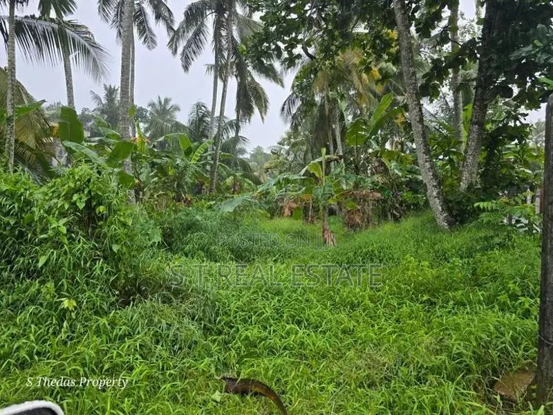 20P Rectangular Bare Land For Sale In Kesbewa
