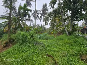 20P Rectangular Bare Land For Sale In Kesbewa