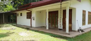 Padukka : 95.1 Perch Coconut Land with 4 Bedrooms House for Sale