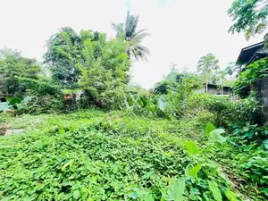 Land For Sale Hanwella
