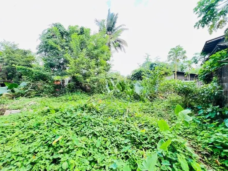 Land For Sale Hanwella