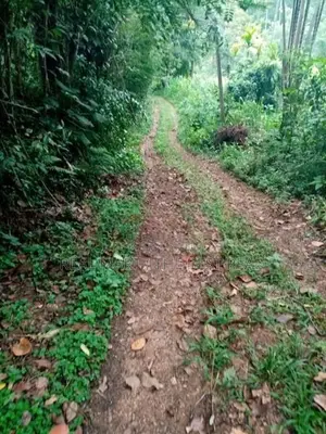 Badulla : 360 perches Land for Sale at Kottagaharawa