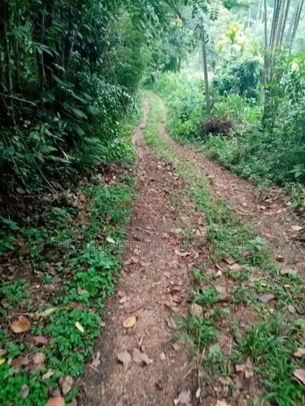 Badulla : 360 perches Land for Sale at Kottagaharawa