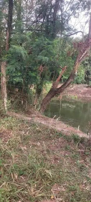 LAND FORSALE IN RAJAGIRIYA