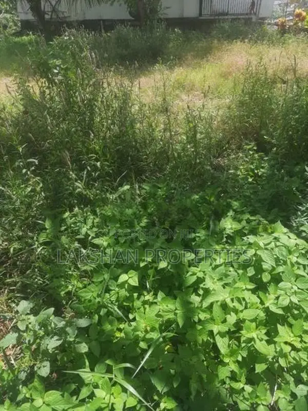 Land For Sale In Boralesgamuwa Abillawatta