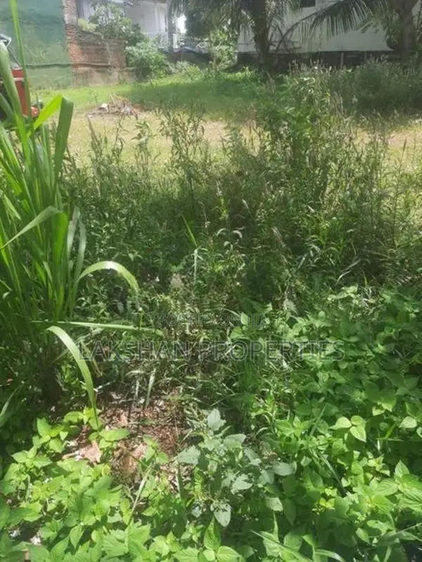 Land For Sale In Boralesgamuwa Abillawatta