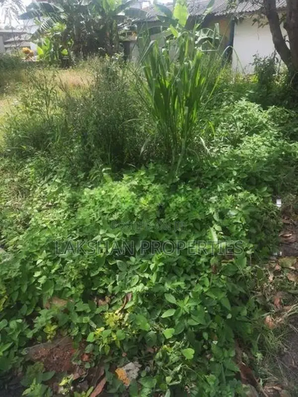 Land For Sale In Boralesgamuwa Abillawatta