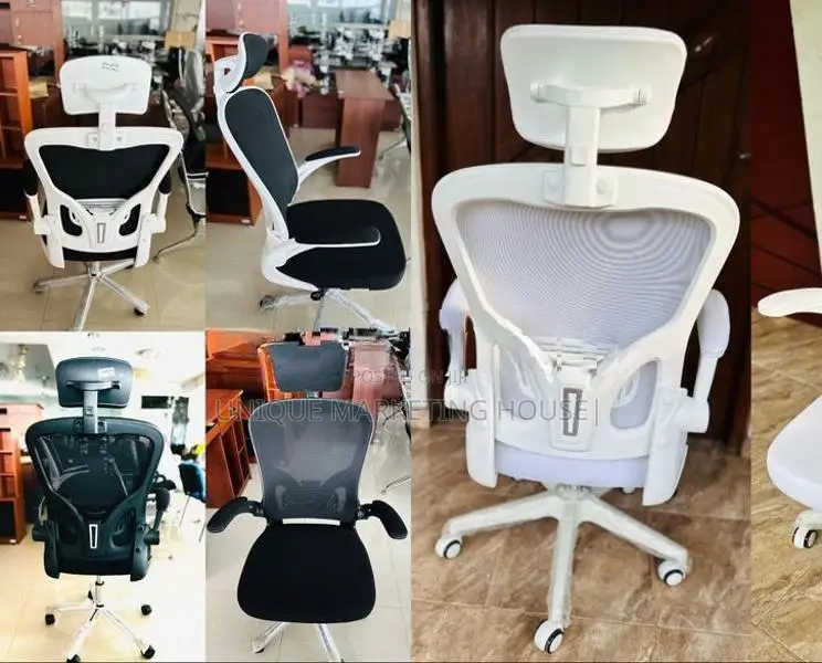 Imported Arm Adjustable Penguin Bk Support Office Chairs