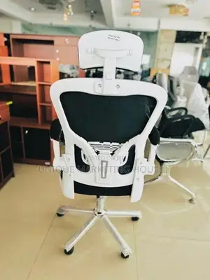 Imported Arm Adjustable Penguin Bk Support Office Chairs