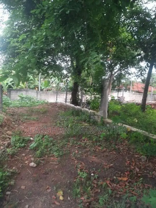 Land For Sale In Boralesgamuwa