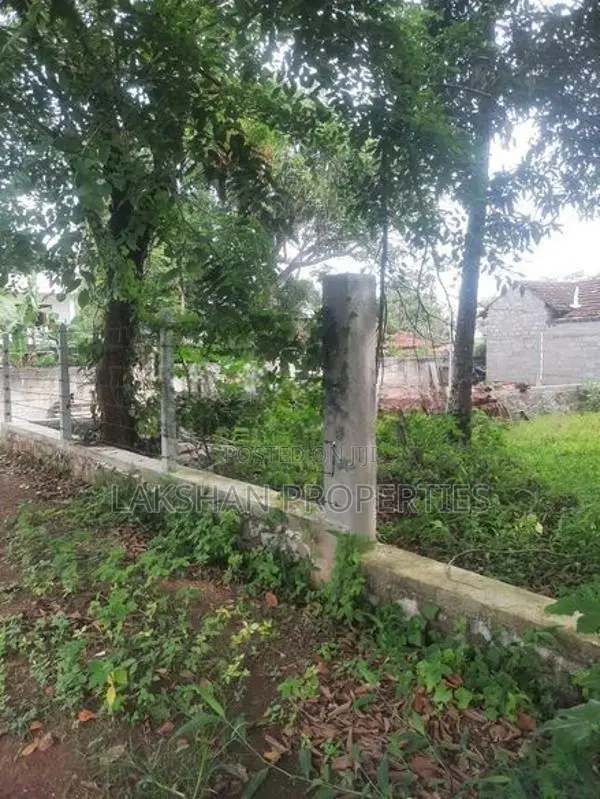 Land For Sale In Boralesgamuwa