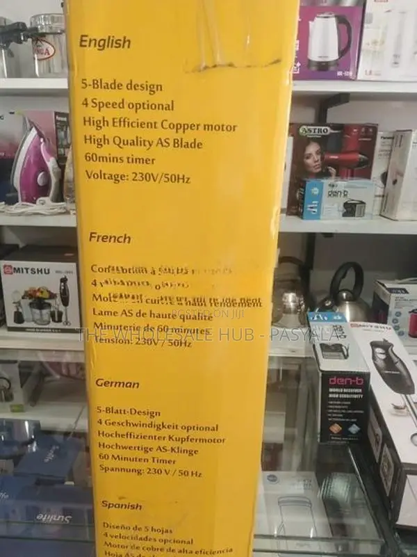 Ion Stand Fan 55 W