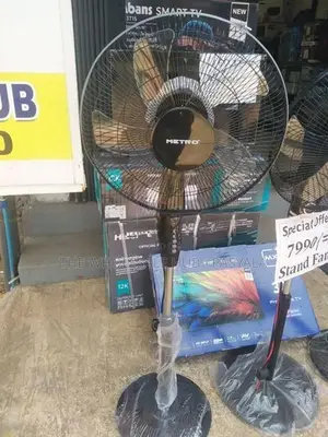 Ion Stand Fan 55 W
