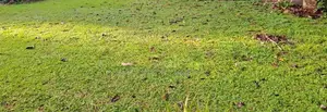 Mount Lavinia : 10 perches Land for Sale at Off templers road