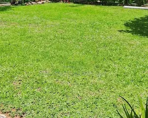 Mount Lavinia : 44 .25 perches Land for Sale Facing templers road