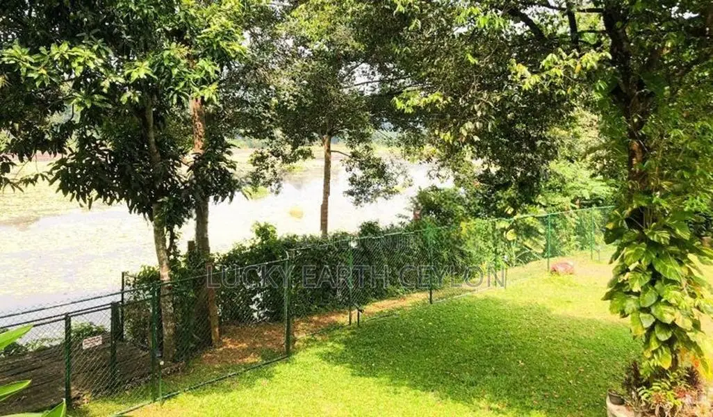Bandaragama Waterfront Furnished House With Pool for Rent (LEC184)