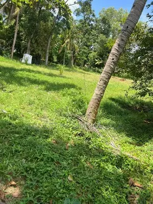 Land for Sale in Godagama -440