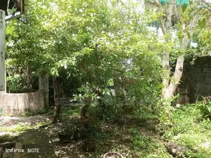 19 Perches Land Sale in Dehiwala