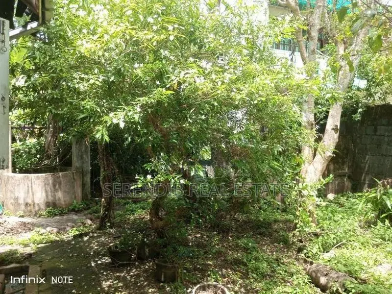 19 Perches Land Sale in Dehiwala
