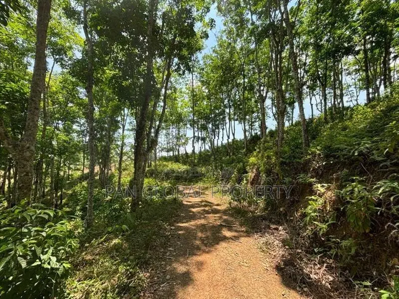 Estate for Sale in Aparekka Matara