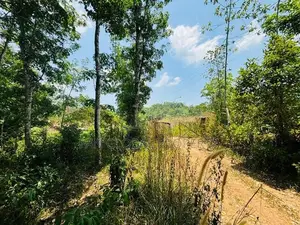 Estate for Sale in Aparekka Matara