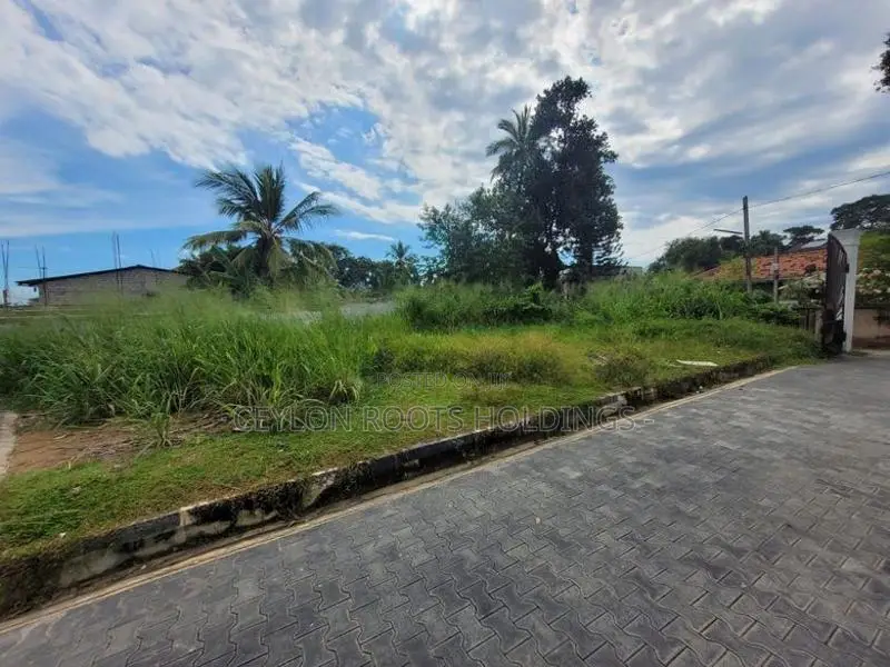 The River is Visible, Land for Sale in a Beautiful Environment, Goraka