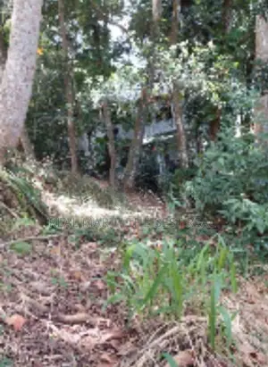 Kandy : 30 perches Commercial Land for Sale Facing road